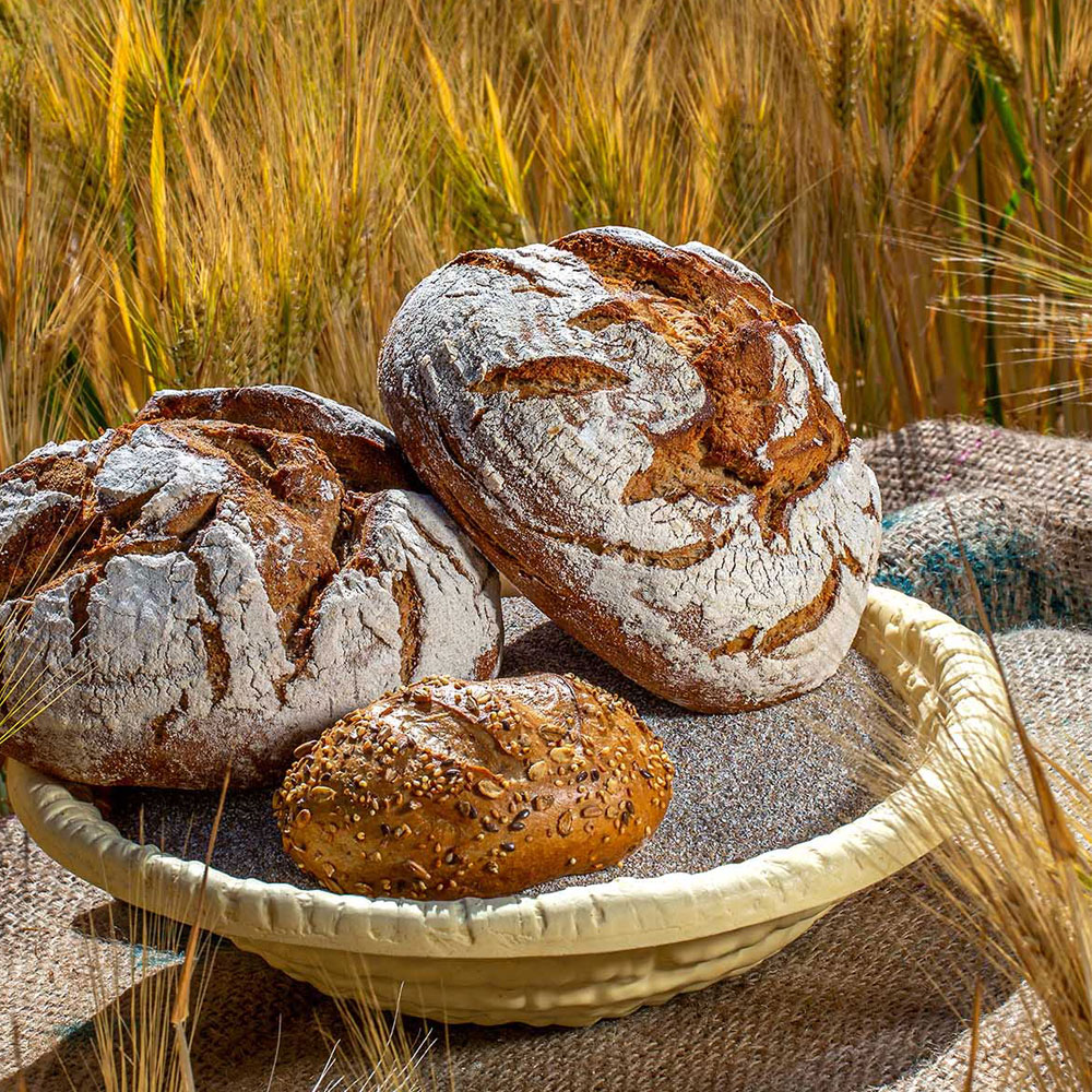 Aktuelles Bäckerei - Konditorei - Baumgärtel & Café Diana OHG